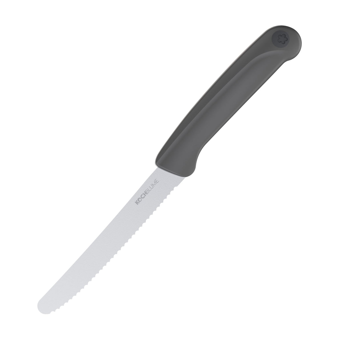 Frühstücksmesser mit anthrazitfarbenem ergonomischem Griff und gezahnter Klinge aus Edelstahl.