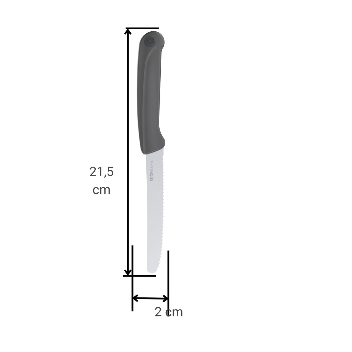 Frühstücksmesser mit gezahnter Klinge und ergonomischem anthrazitfarbenem Griff, 21,5 cm lang.